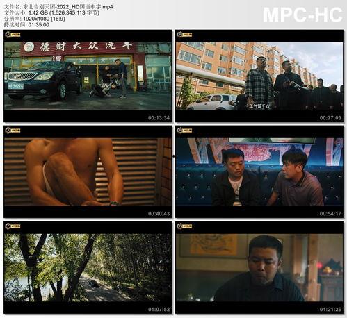 国产字幕,跨越语言障碍，传递文化魅力